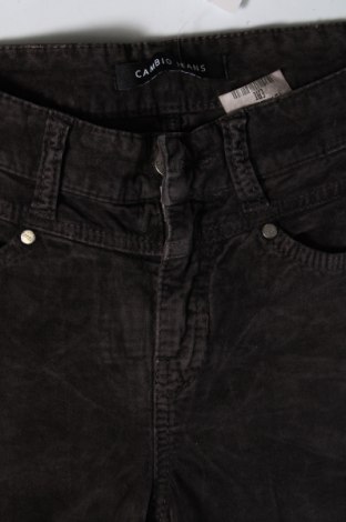 Pantaloni de velvet de femei Cambio, Mărime M, Culoare Gri, Preț 73,81 Lei