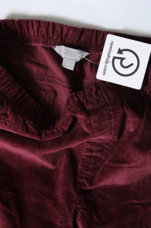 Дамски джинси Sears, Размер M, Цвят Розов, Цена 7,25 лв.