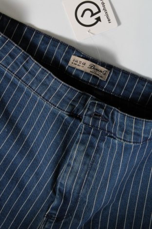 Damen Shorts Denim Co., Größe XL, Farbe Blau, Preis 5,48 €