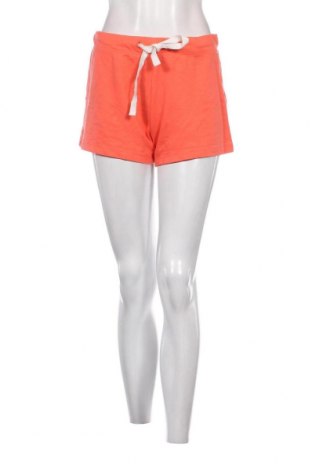 Damen Shorts Esmara, Größe S, Farbe Orange, Preis 5,12 €