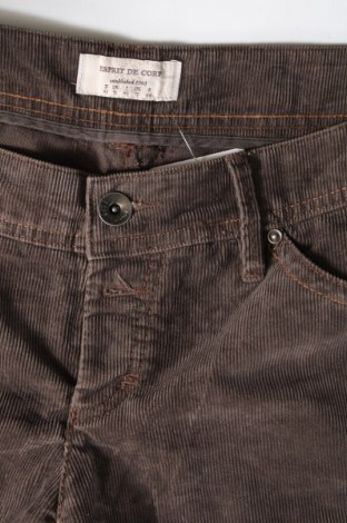 Pantaloni scurți de femei Esprit, Mărime L, Culoare Maro, Preț 55,92 Lei