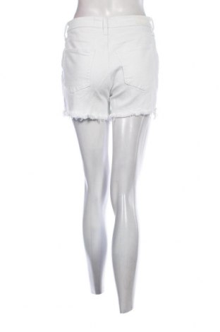 Damen Shorts Hollister, Größe S, Farbe Weiß, Preis 39,69 €