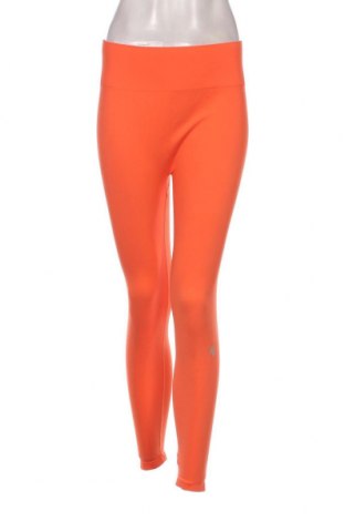 Γυναικείο κολάν Oceans Apart, Μέγεθος XL, Χρώμα Πορτοκαλί, Τιμή 24,35 €