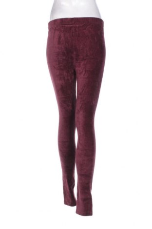 Damskie legginsy Paola, Rozmiar M, Kolor Czerwony, Cena 31,99 zł