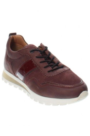 Damenschuhe Salamander, Größe 37, Farbe Rot, Preis 52,32 €