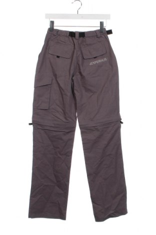 Damenhose, Größe S, Farbe Grau, Preis € 5,12