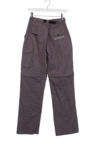 Damenhose, Größe S, Farbe Grau, Preis 8,59 €