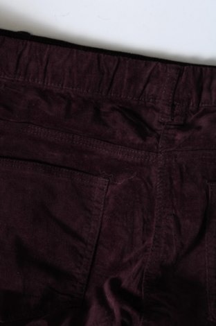 Damenhose, Größe XXL, Farbe Lila, Preis 6,99 €