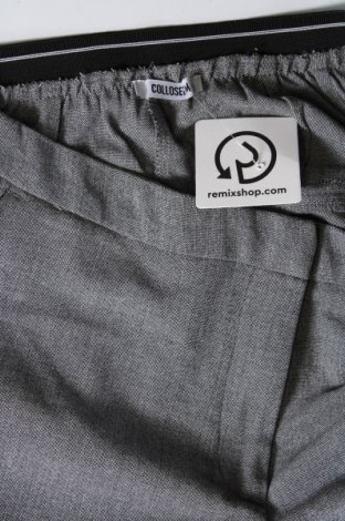 Damenhose Colloseum, Größe M, Farbe Grau, Preis € 4,99