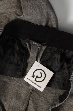 Damenhose Esprit, Größe L, Farbe Grau, Preis 10,49 €