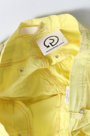 Damenhose Fracomina, Größe M, Farbe Gelb, Preis € 18,93