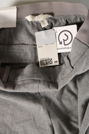 Damenhose H&M, Größe S, Farbe Grau, Preis € 32,01