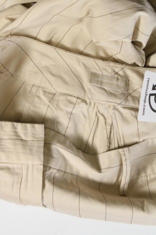 Pantaloni de femei Massimo Dutti, Mărime M, Culoare Bej, Preț 122,19 Lei