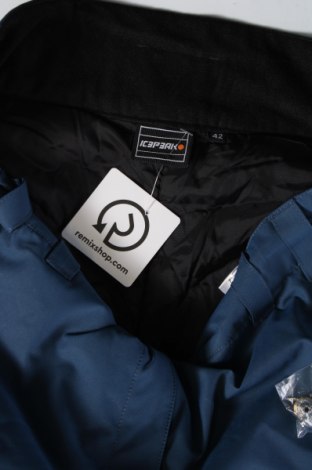 Damenhose für Wintersport Icepeak, Größe L, Farbe Blau, Preis € 47,50