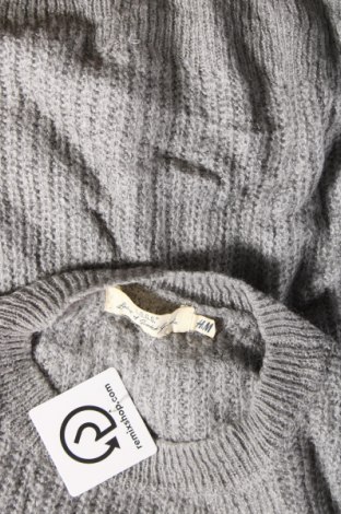Γυναικείο πουλόβερ H&M L.O.G.G., Μέγεθος XL, Χρώμα Γκρί, Τιμή 5,49 €