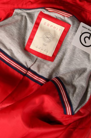 Γυναικεία καμπαρντίνα Esprit, Μέγεθος XXL, Χρώμα Κόκκινο, Τιμή 25,98 €