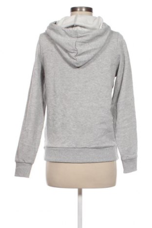 Damen Sweatshirt Fb Sister, Größe XXS, Farbe Grau, Preis € 6,46