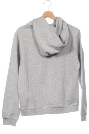 Damen Sweatshirt Lala Berlin, Größe XS, Farbe Grau, Preis 49,50 €