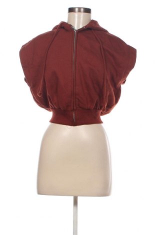 Damen Sweatshirt Zara, Größe M, Farbe Braun, Preis 13,92 €