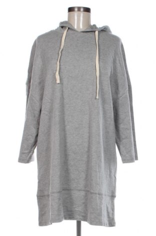 Damen Sweatshirt Zara Trafaluc, Größe M, Farbe Grau, Preis 3,48 €