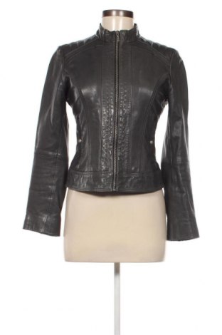 Damen Lederjacke Hugo Boss, Größe S, Farbe Grau, Preis € 230,96