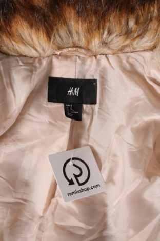 Damenmantel H&M, Größe S, Farbe Mehrfarbig, Preis 39,46 €