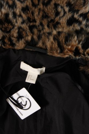 Γυναικείο παλτό H&M, Μέγεθος XS, Χρώμα Πολύχρωμο, Τιμή 36,40 €