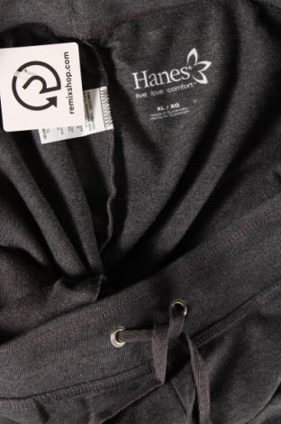 Damen Sporthose Hanes, Größe XXL, Farbe Grau, Preis € 8,54