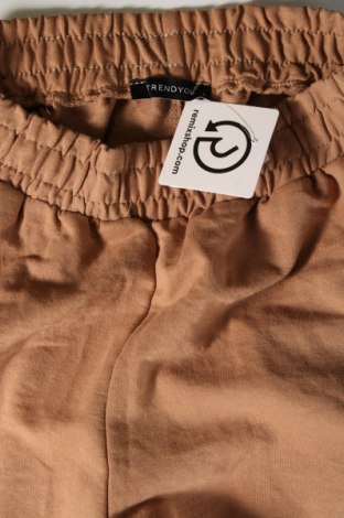 Damen Sporthose Trendyol, Größe L, Farbe Braun, Preis 7,52 €