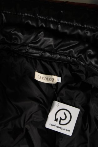 Γυναικείο μπουφάν, Μέγεθος XL, Χρώμα Μαύρο, Τιμή 14,24 €