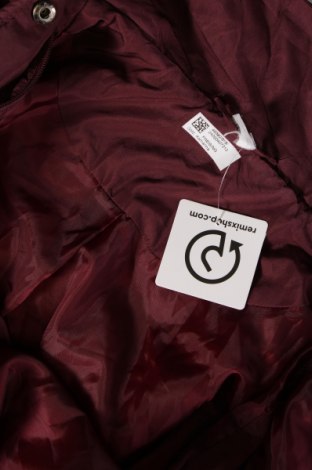 Damenjacke, Größe XL, Farbe Rot, Preis € 33,99