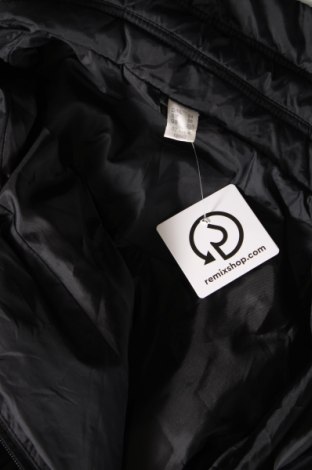 Dámska bunda , Veľkosť 3XL, Farba Čierna, Cena  13,16 €