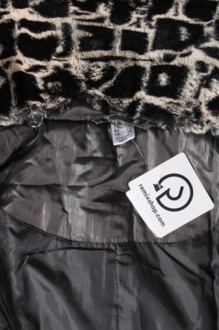 Dámska bunda , Veľkosť XXL, Farba Sivá, Cena  16,45 €