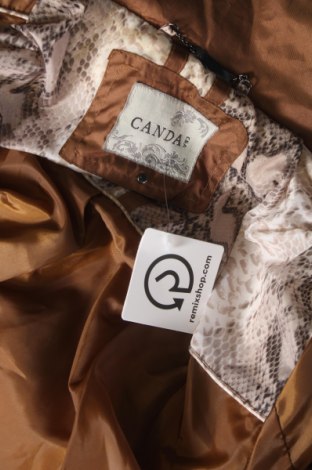 Damenjacke Canda, Größe L, Farbe Braun, Preis 19,37 €