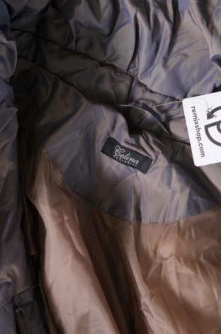 Γυναικείο μπουφάν Celina, Μέγεθος M, Χρώμα Γκρί, Τιμή 16,15 €