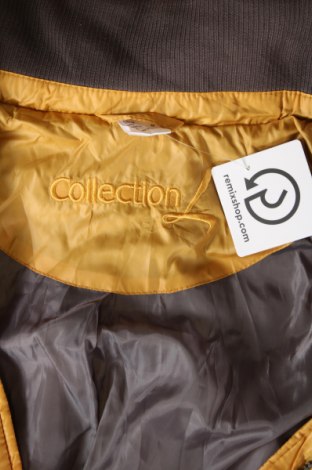 Dámska bunda  Collection L, Veľkosť M, Farba Žltá, Cena  13,81 €