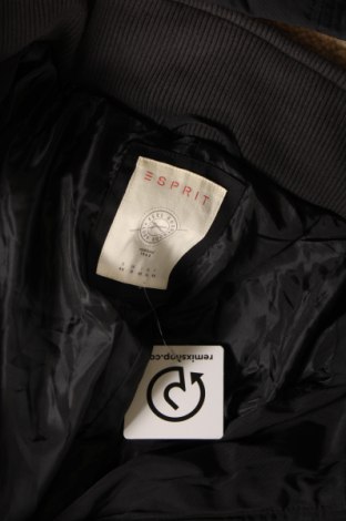 Γυναικείο μπουφάν Esprit, Μέγεθος XL, Χρώμα Μαύρο, Τιμή 23,20 €