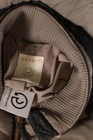 Γυναικείο μπουφάν Esprit, Μέγεθος XXL, Χρώμα  Μπέζ, Τιμή 24,59 €