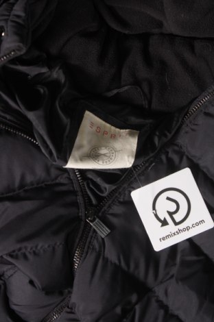 Γυναικείο μπουφάν Esprit, Μέγεθος M, Χρώμα Μαύρο, Τιμή 25,05 €