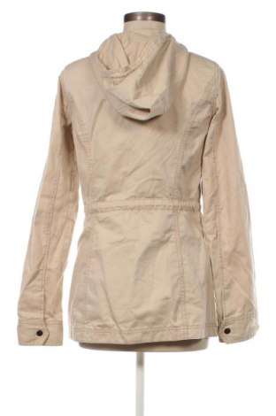 Damenjacke Hollister, Größe S, Farbe Beige, Preis 9,46 €