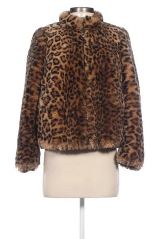 Дамско яке Zara Trafaluc, Размер XS, Цвят Многоцветен, Цена 26,65 лв.