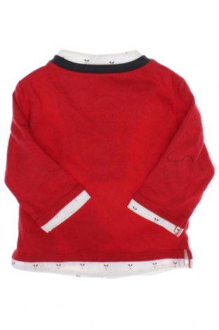 Kinder Shirt Obaibi, Größe 3-6m/ 62-68 cm, Farbe Rot, Preis € 9,49