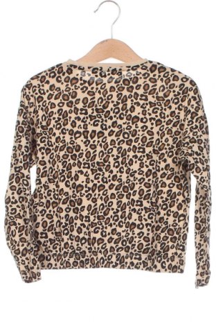 Kinder Shirt Terranova, Größe 3-4y/ 104-110 cm, Farbe Mehrfarbig, Preis € 6,14