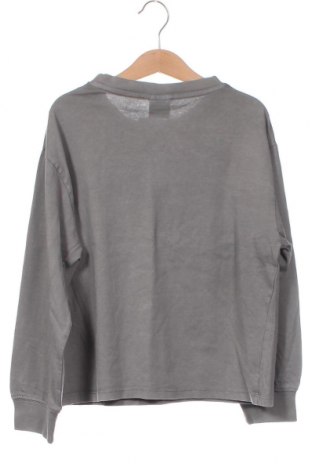 Kinder Shirt Zara, Größe 8-9y/ 134-140 cm, Farbe Grau, Preis € 15,46