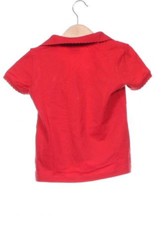 Kinder T-Shirt U.S. Polo Assn., Größe 3-4y/ 104-110 cm, Farbe Rot, Preis 6,99 €