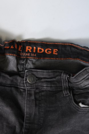 Dziecięce jeansy Blue Ridge, Rozmiar 13-14y/ 164-168 cm, Kolor Szary, Cena 15,35 zł