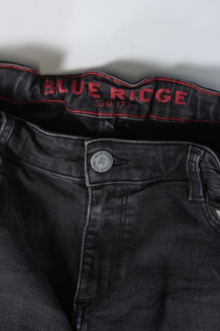 Dziecięce jeansy Blue Ridge, Rozmiar 15-18y/ 170-176 cm, Kolor Szary, Cena 20,47 zł