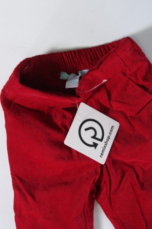 Pantaloni de catifea reiată, pentru copii Obaibi, Mărime 2-3m/ 56-62 cm, Culoare Roșu, Preț 24,32 Lei