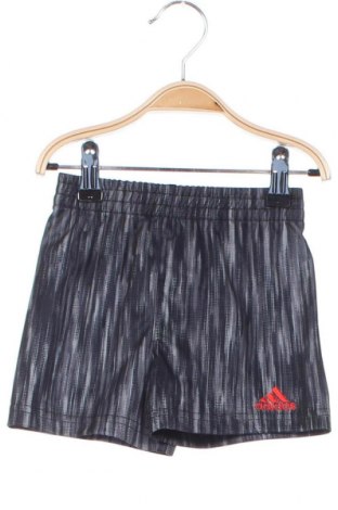 Pantaloni scurți pentru copii Adidas, Mărime 6-9m/ 68-74 cm, Culoare Gri, Preț 42,40 Lei