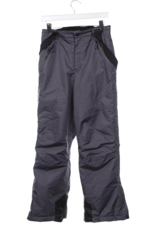 Παιδικό παντελόνι για χειμερινά σπορ Crane, Μέγεθος 12-13y/ 158-164 εκ., Χρώμα Γκρί, Τιμή 6,88 €